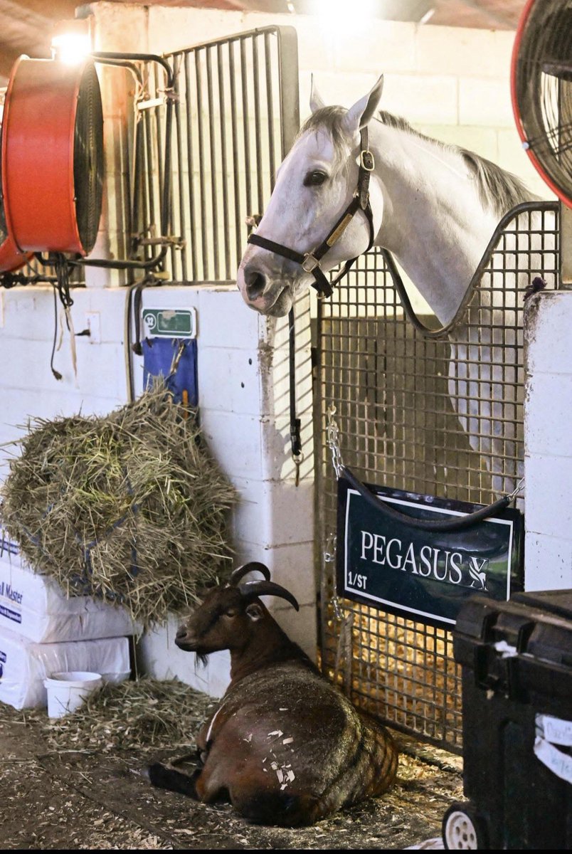 Griffin Johnson tweet media