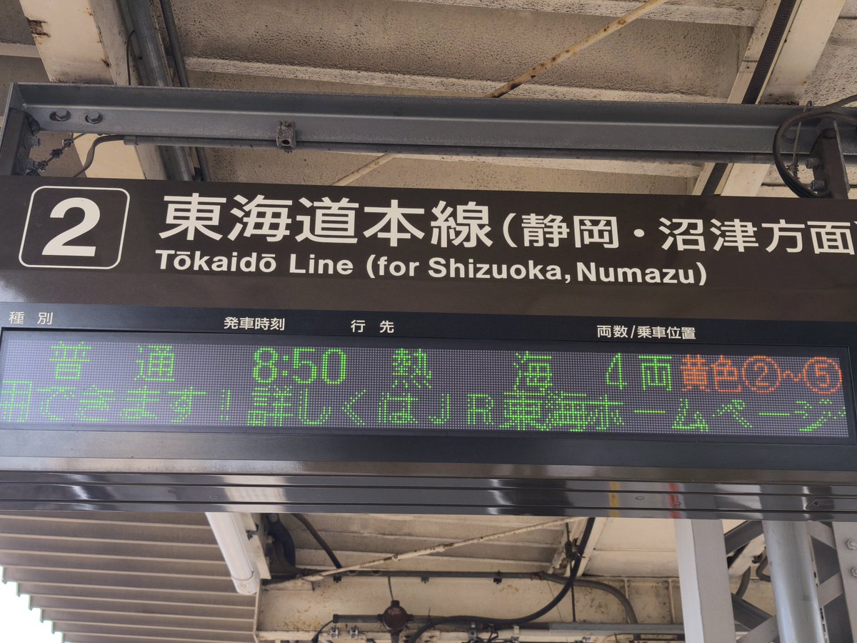 きょんじゅび(@一部記憶喪失中)🍁🍣🐧 tweet media