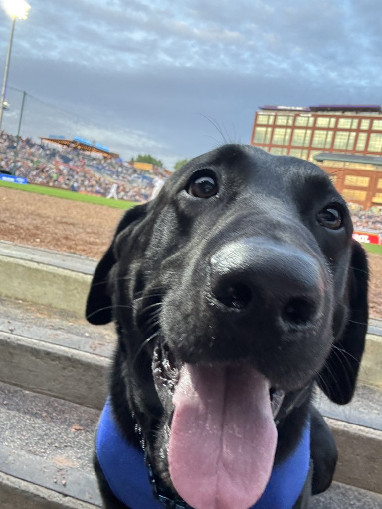 Durham Bulls tweet media