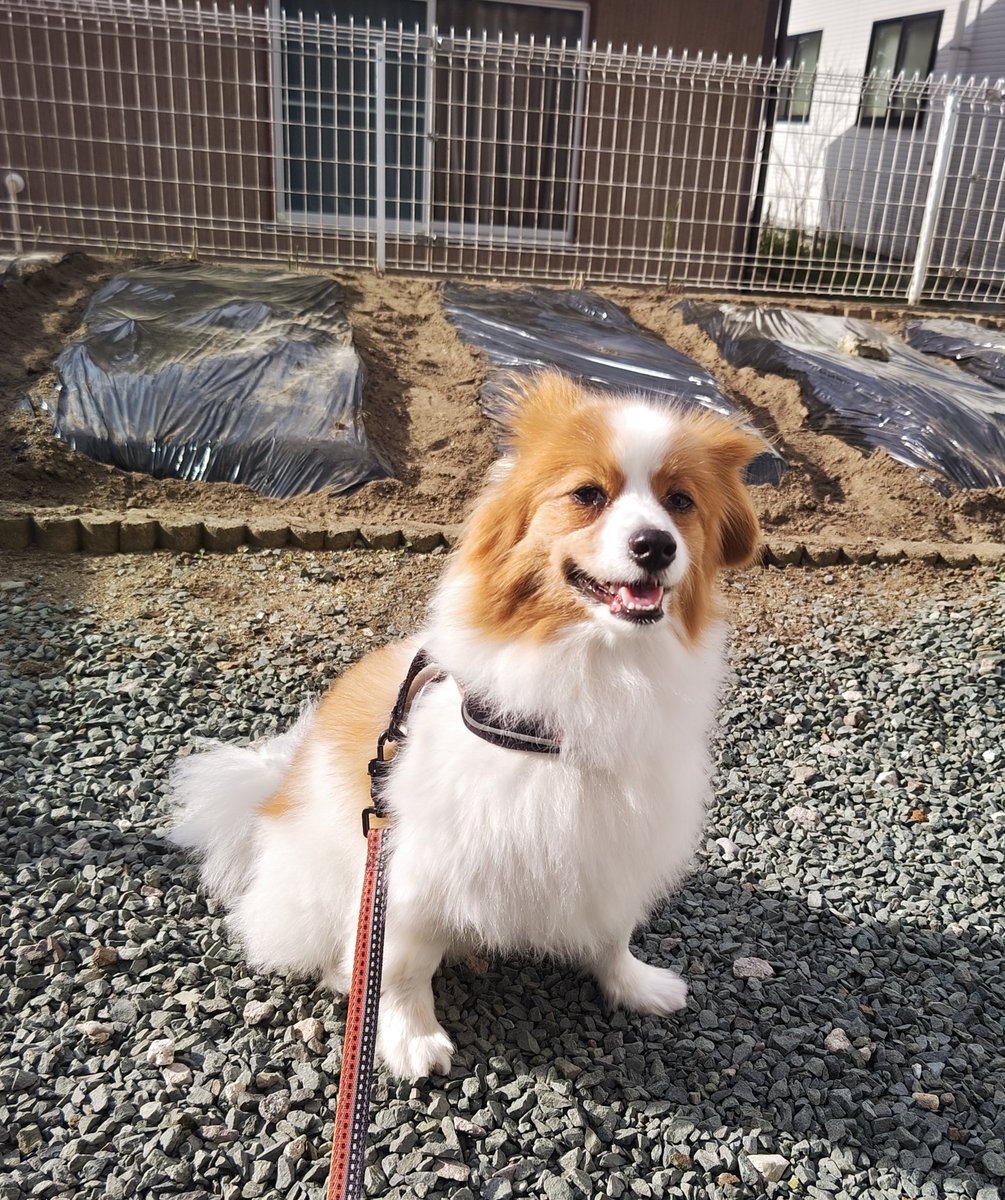 ぶっちゃん tweet media