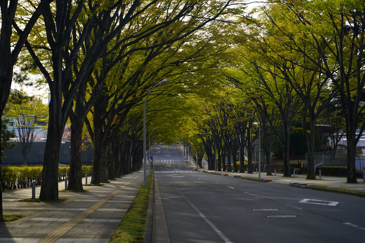 まっちゃ tweet media