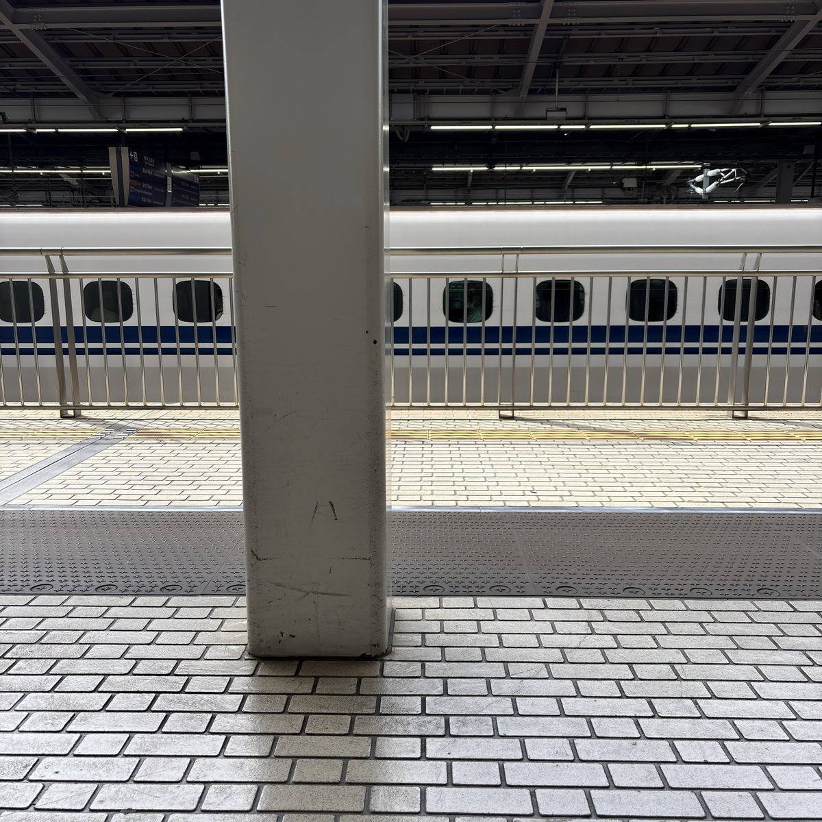 sunny🐟🍀 tweet media