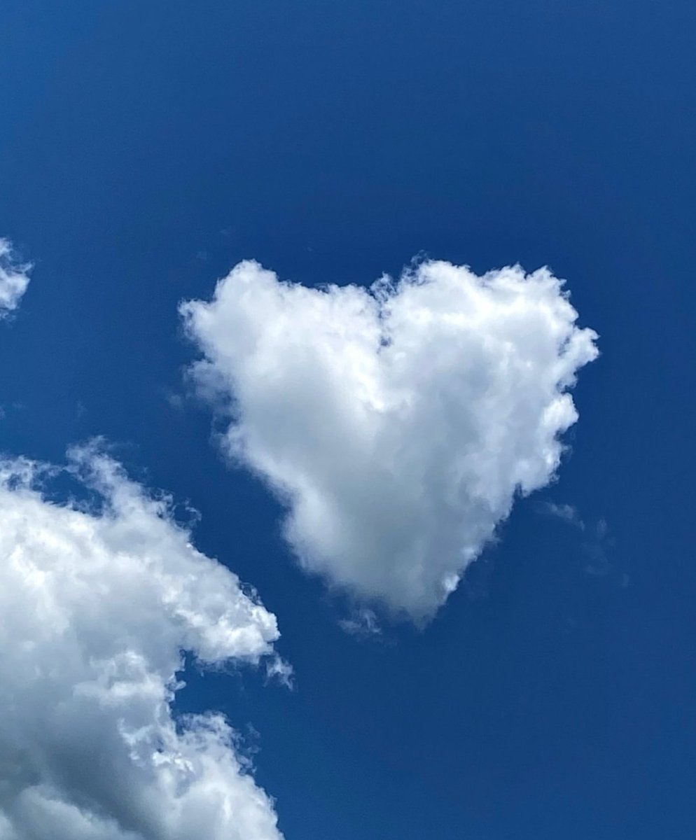 2025 (@2025pics) on Twitter photo 