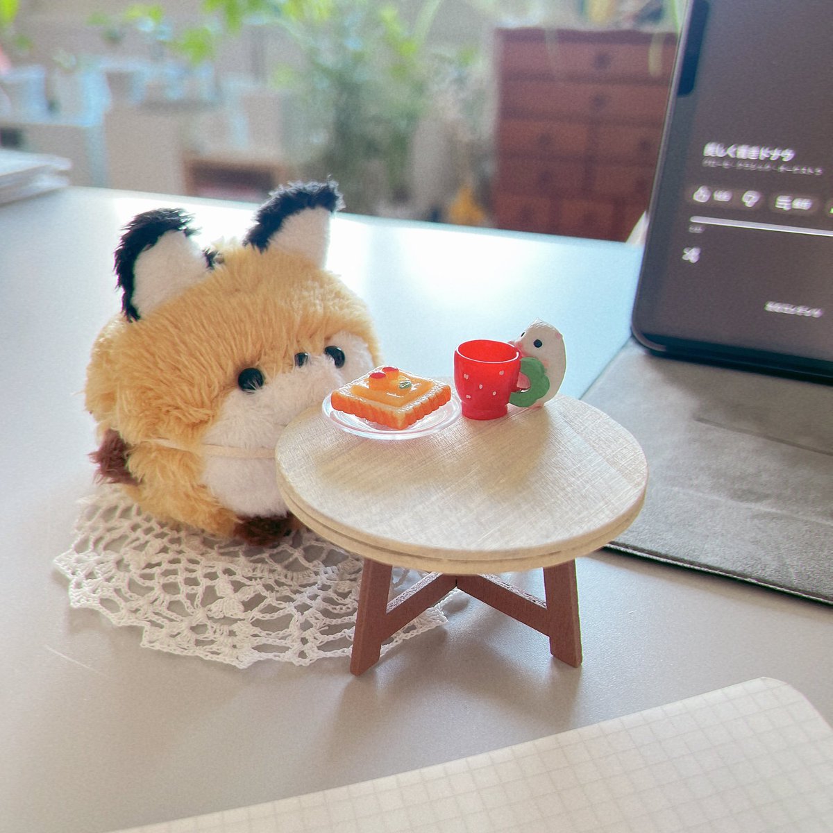 よんぬ. tweet media