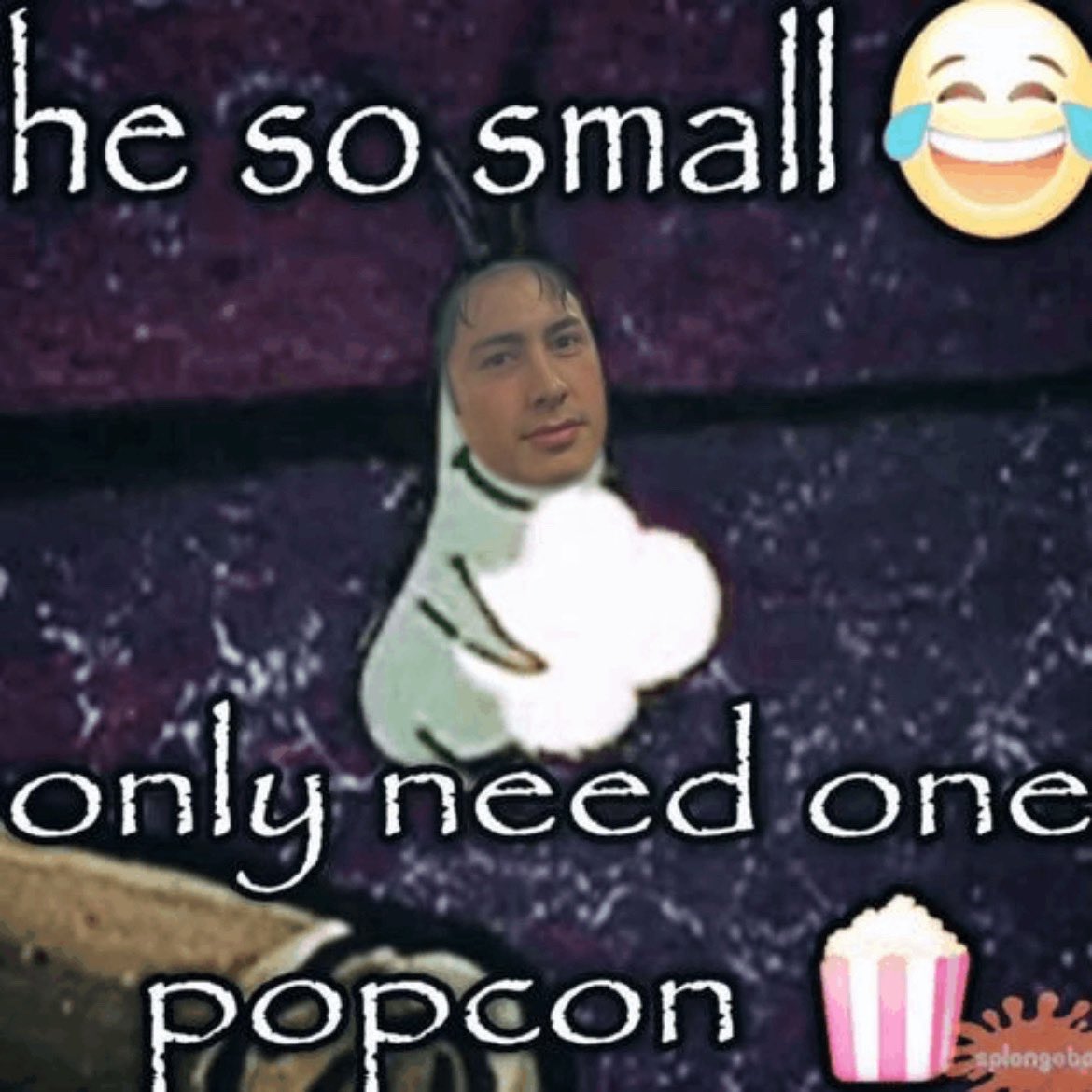 bear | pigeon hollanov tweet media