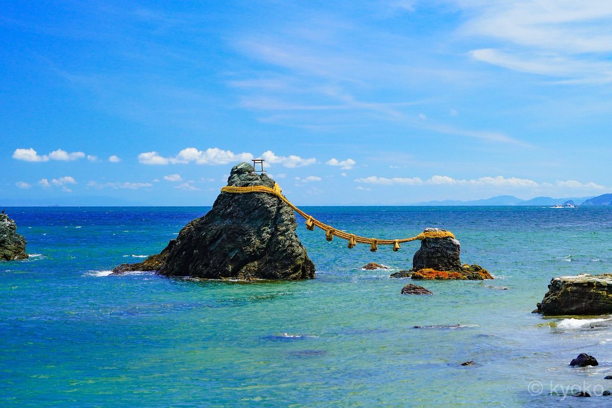 ✿「風 Ⅴ」✿ tweet media