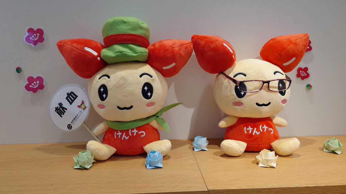 ひでくん@長野県民🍎🗻🐱🇴🇲💚🏰🎀🌈🫧👒🔪💊🦈🌸🐼🐹🐨🐰🐇❤ tweet media