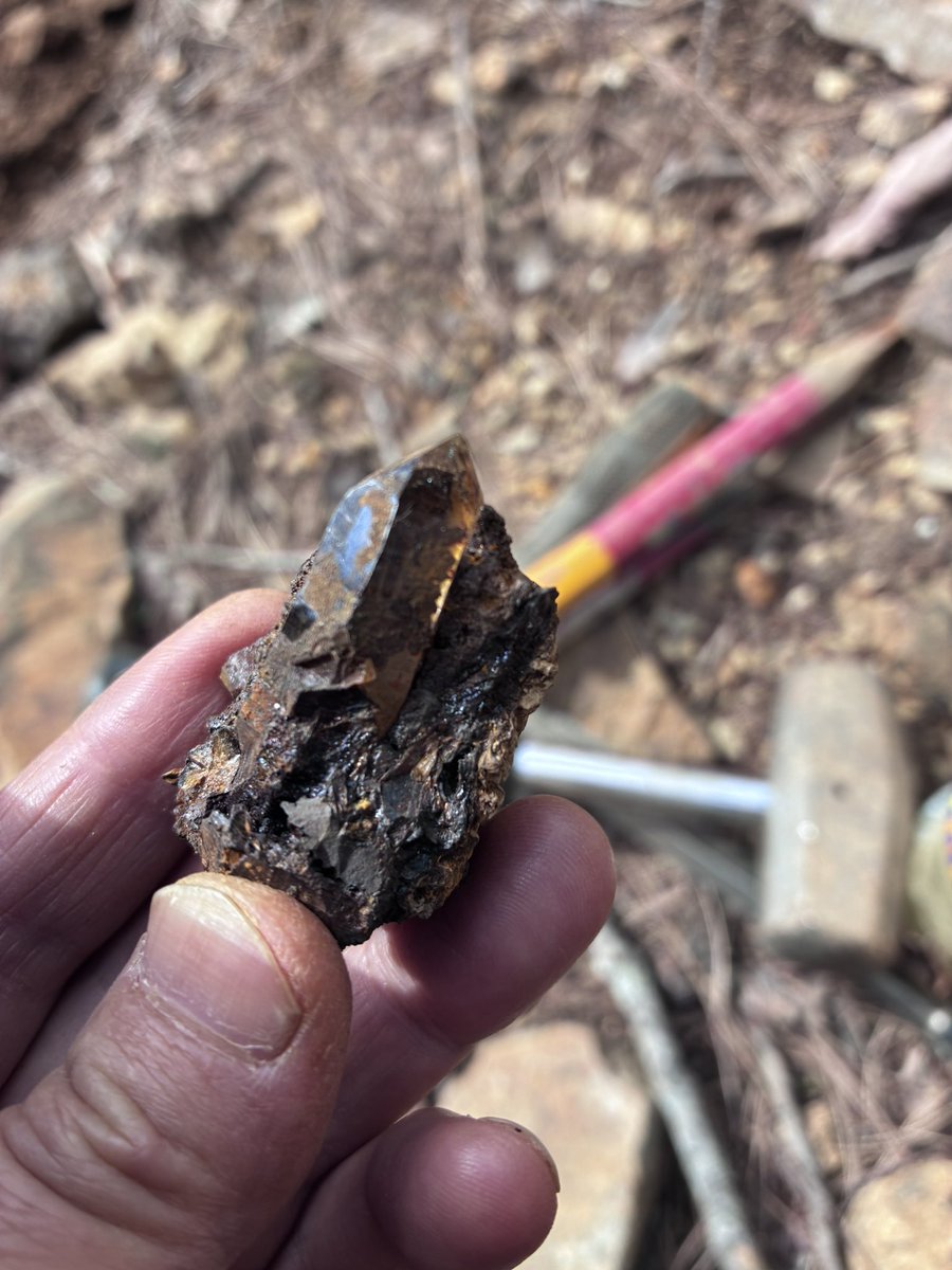 まるよ tweet media