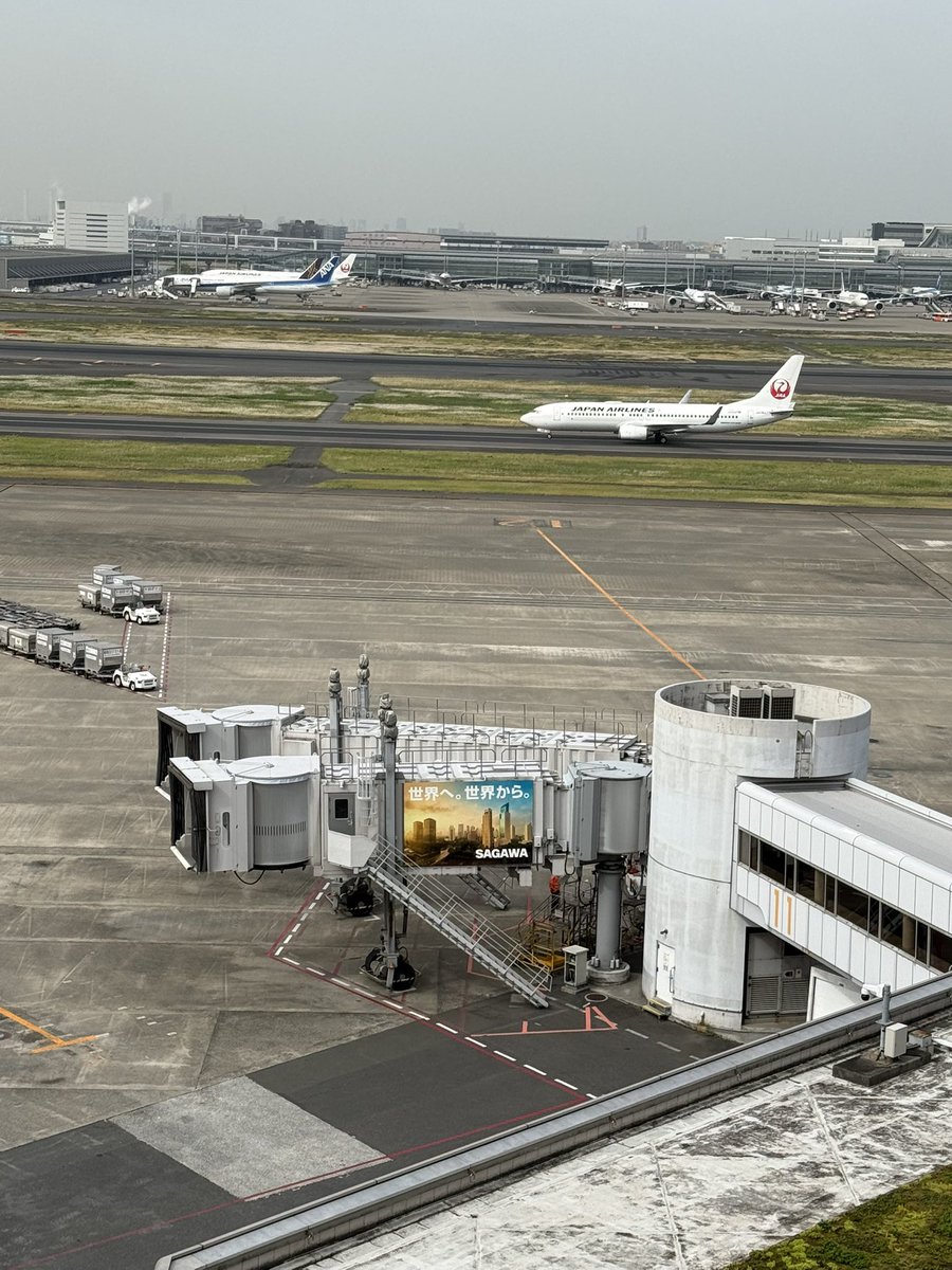 REMCAT @ヒコーキ写真展Paravion X(~4/30) tweet media