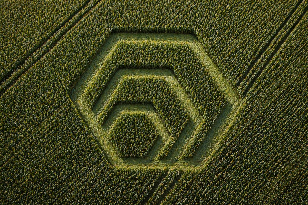 crop circles were spotted around the US in various locations .Do aliens like $HEX ??? $PLS $HEX $PLSX