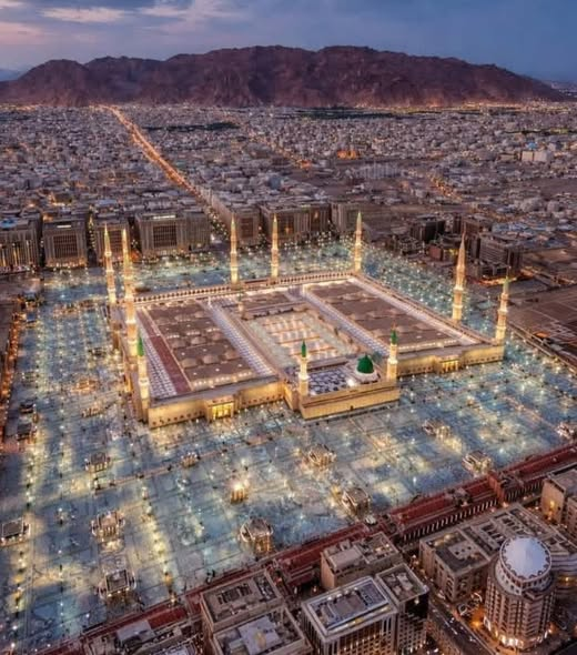 Mahmoud El-Tanany tweet media