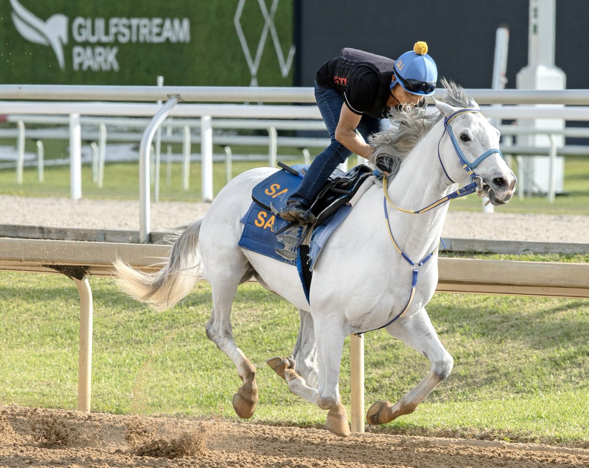 George Mallet tweet media