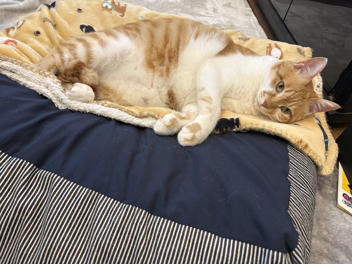 🍢りえ🍢 tweet media