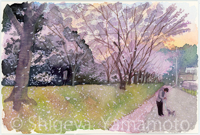 illustrator × artist 山本重也 tweet media