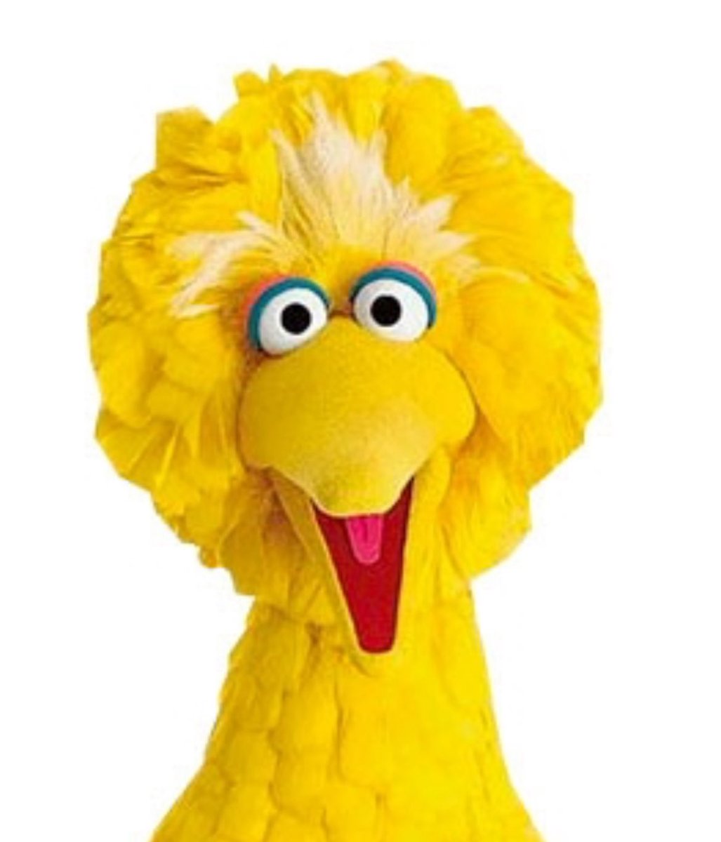 DerekSallmann's tweet photo. @MikeHerndonSk1 It’s basically just Big Bird https://t.co/hMEwP9uVMa