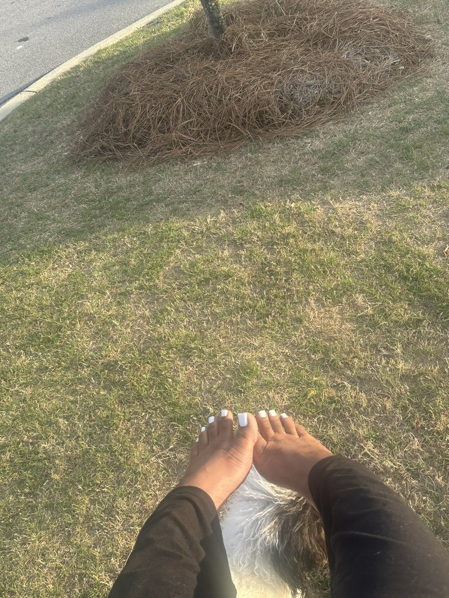 Daizy Dukes tweet media