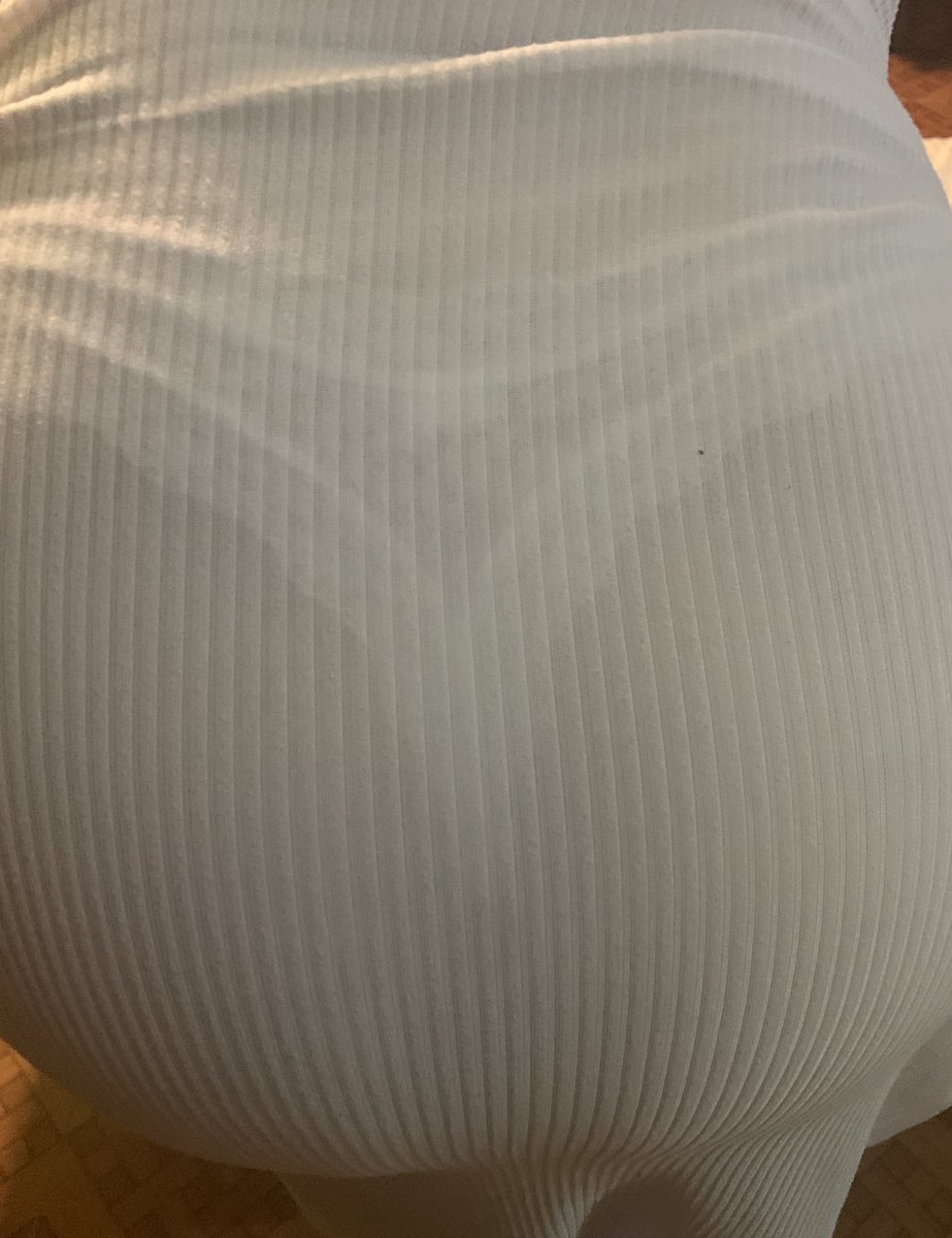 zorra nocturna tweet media