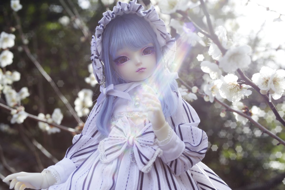 ぬいしろ ななめ ドルパ098−SD tweet media