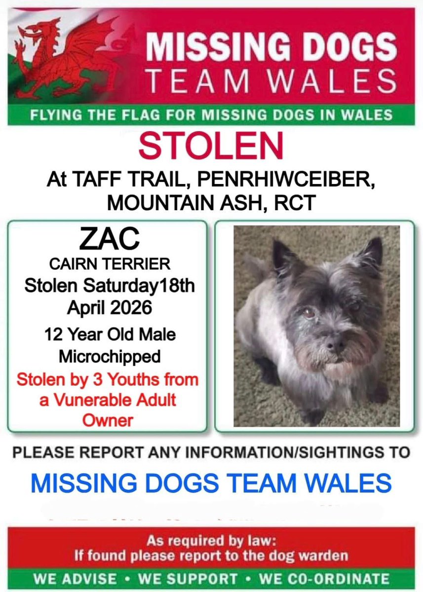 rosiedoc666's tweet image. ‼️STOLEN OFF A VUNERABLE ADULT BY 3 YOUNG BOYS‼️
ZAC WAS ON LEAD WHEN 3 BOYS TOOK HOLD OF THE LEAD&amp;amp;TOOK ZAC 
THIS HAPPENED SAT am 18/4/26  ON #THETAFFTRAIL AT PENTRECEIBER #MOUNTAINASH 
HES 12YRS OLD/WEARING RED COLLAR/BLUE LEAD
WHO ARE THEY? 
@BryantDjbryant @ruthwill64