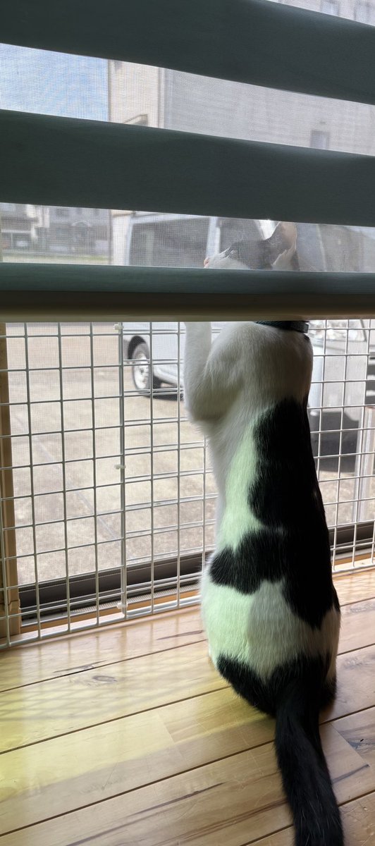 iNヴォーク tweet media