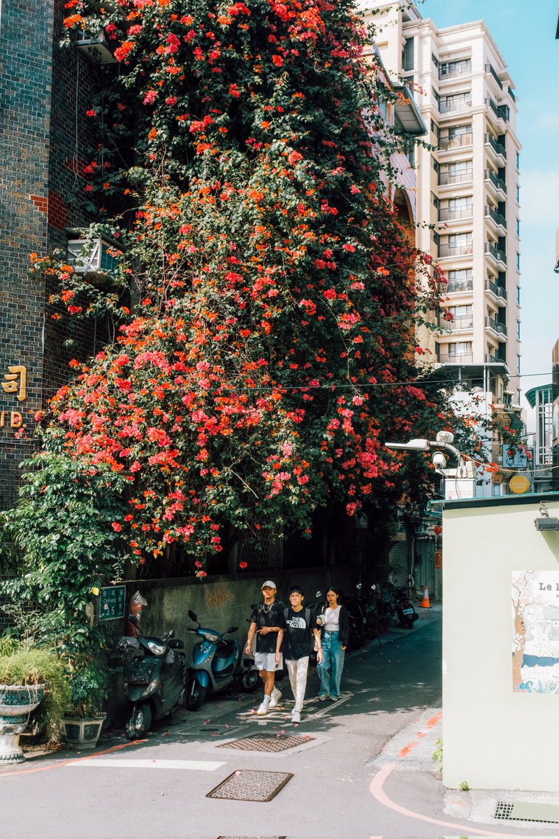 Fujio Akimoto tweet media