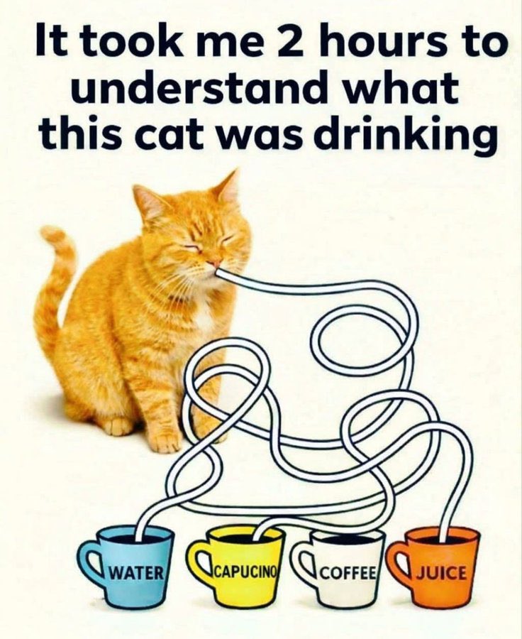 Hina Afridi tweet media