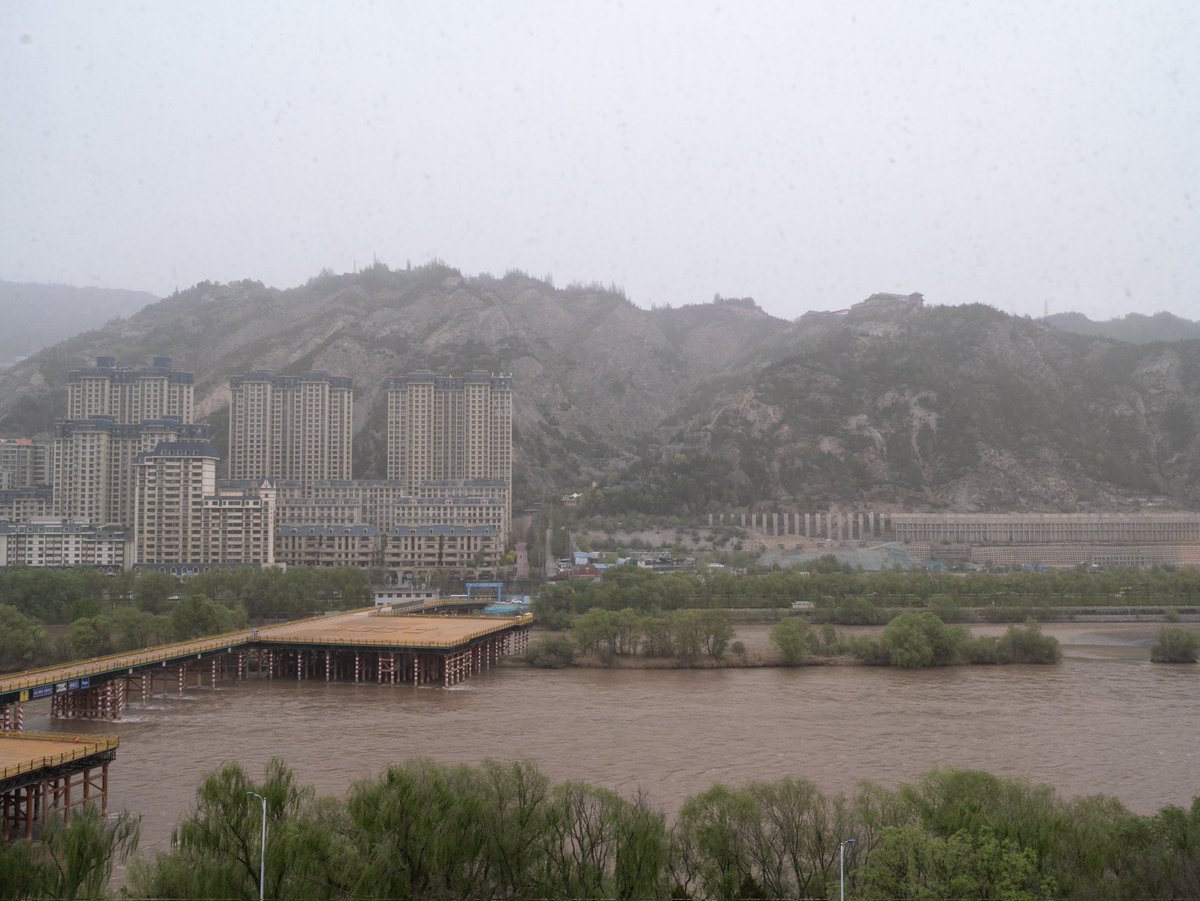 こでみせ tweet media