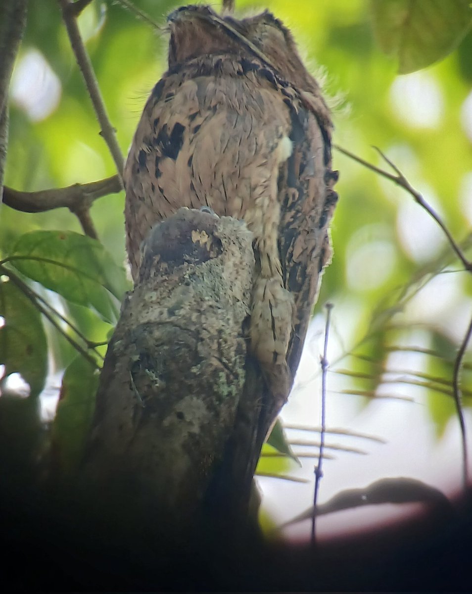 keith tinworth tweet media