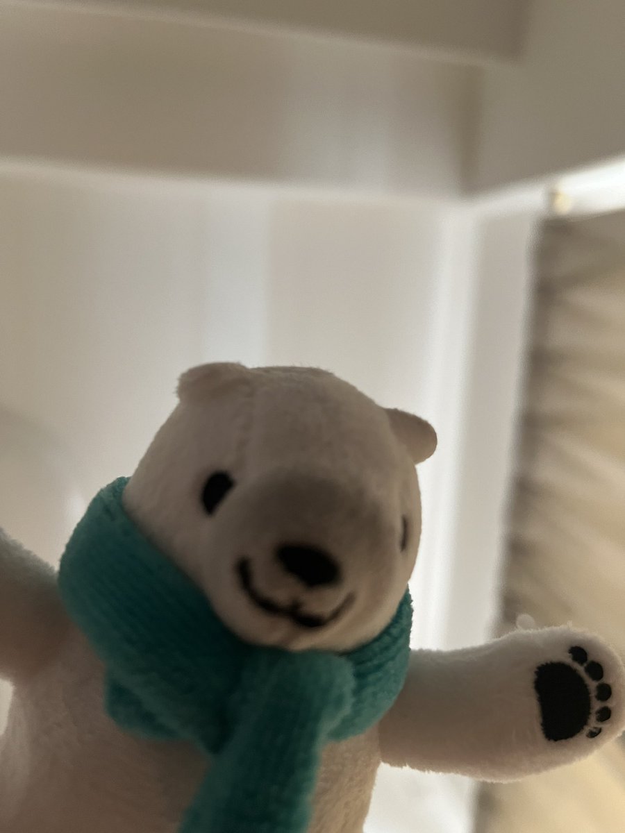 えーつぁん!!🐰 tweet media