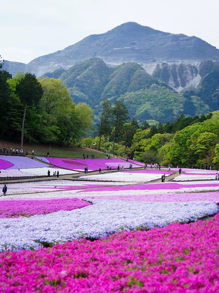 今週もおつｶﾚ- tweet media