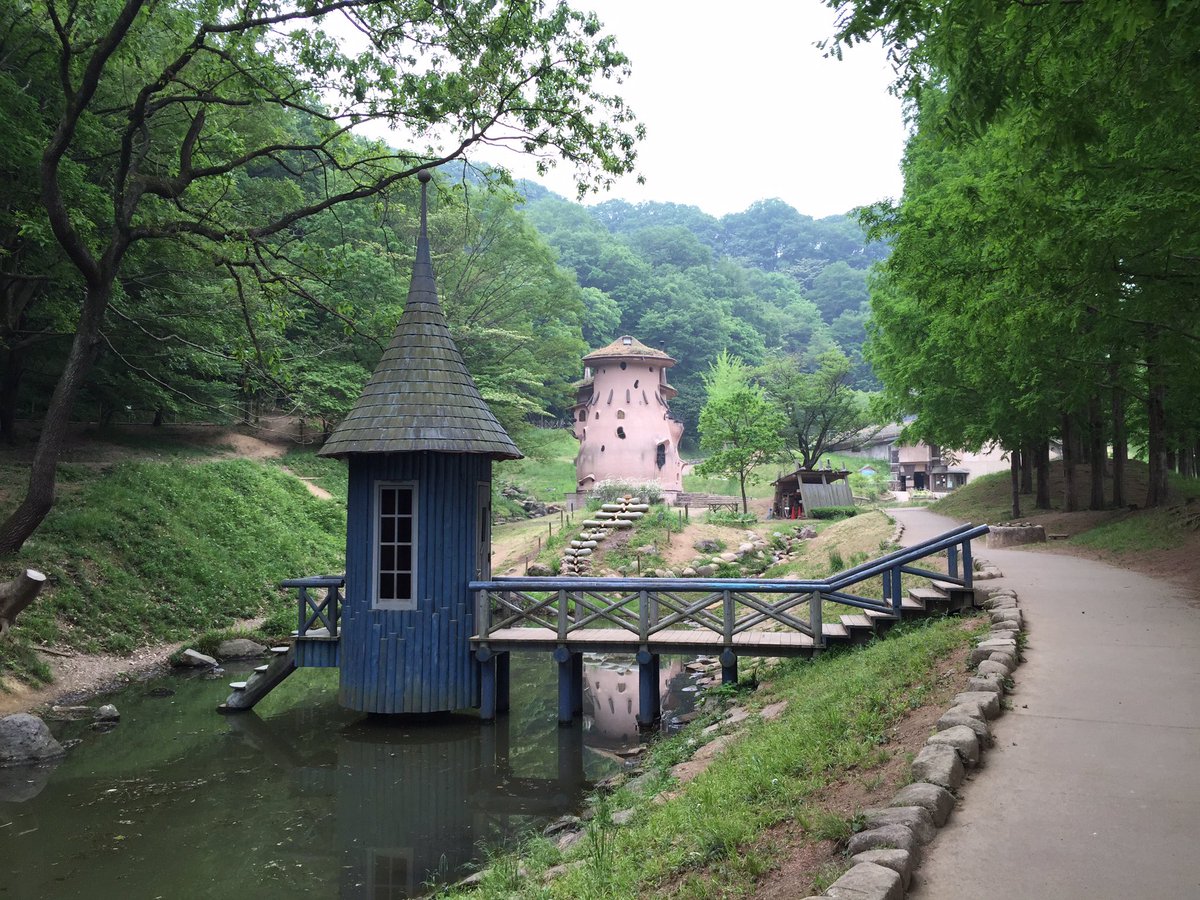 耀子Chaossekeer📖🔎 tweet media