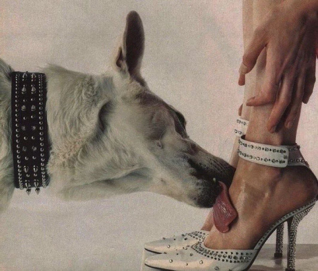 Jenny🦄 (@k01280128642) on Twitter photo 