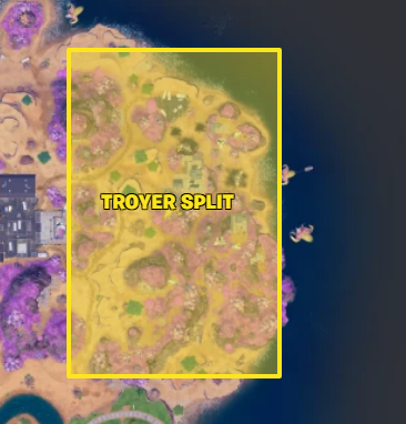 troyer tweet media