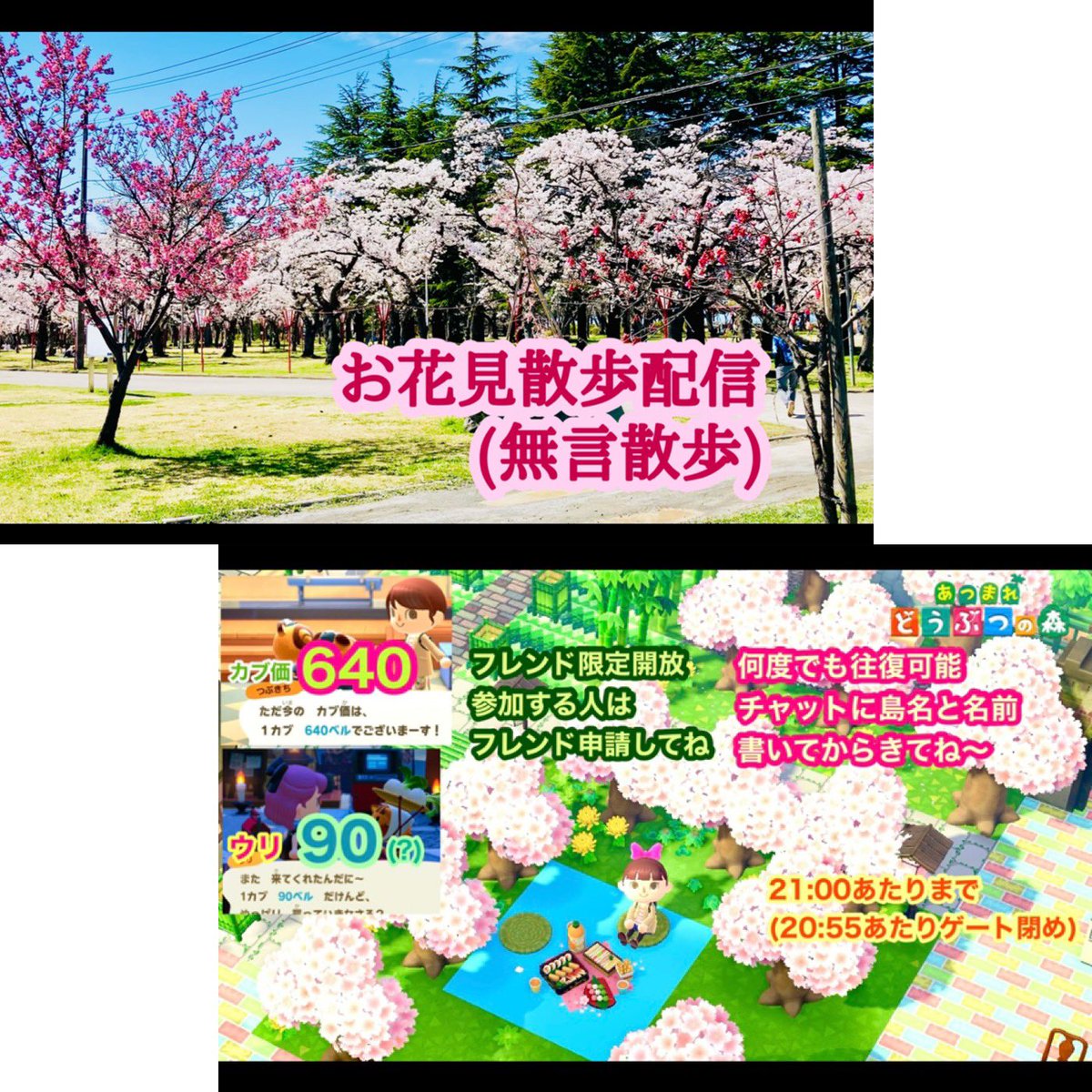 夢見る魔女 tweet media