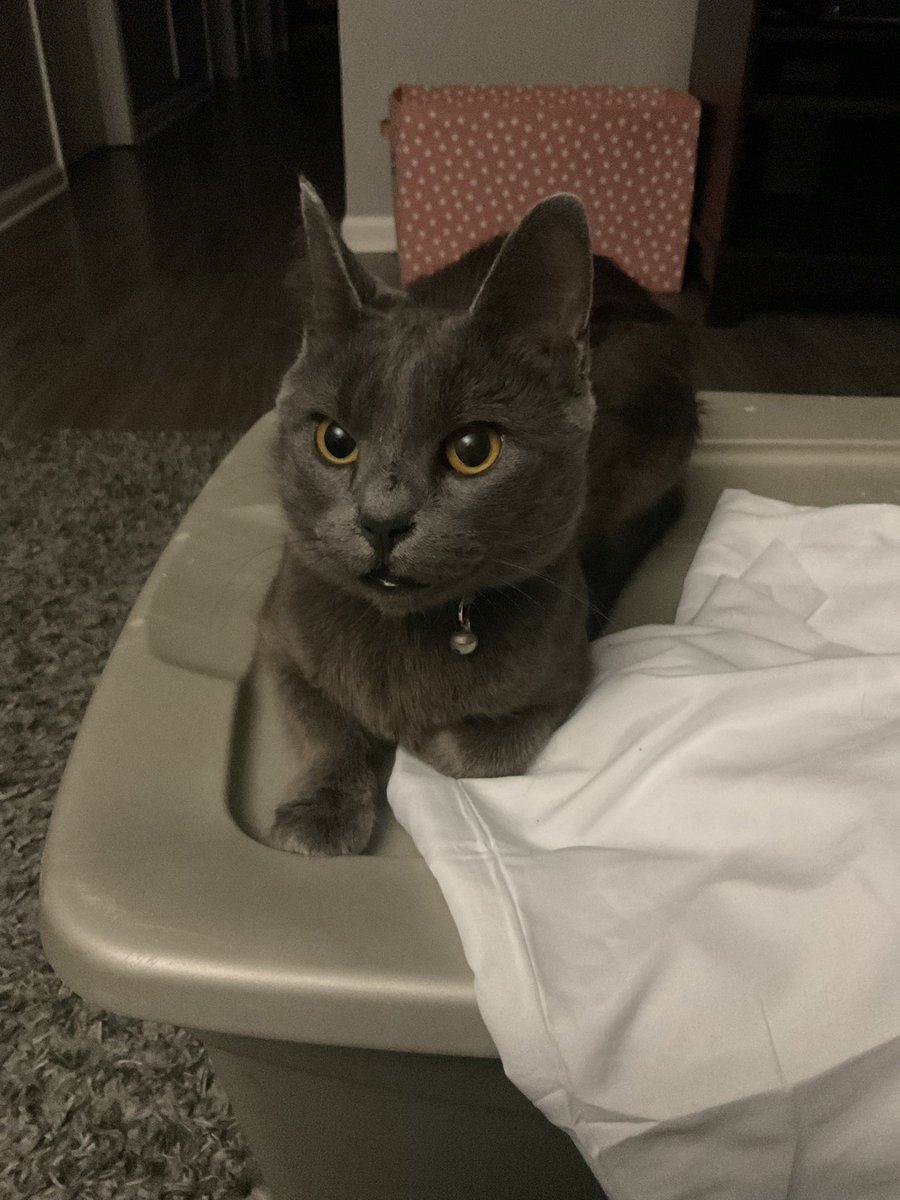 nettspendfan tweet media