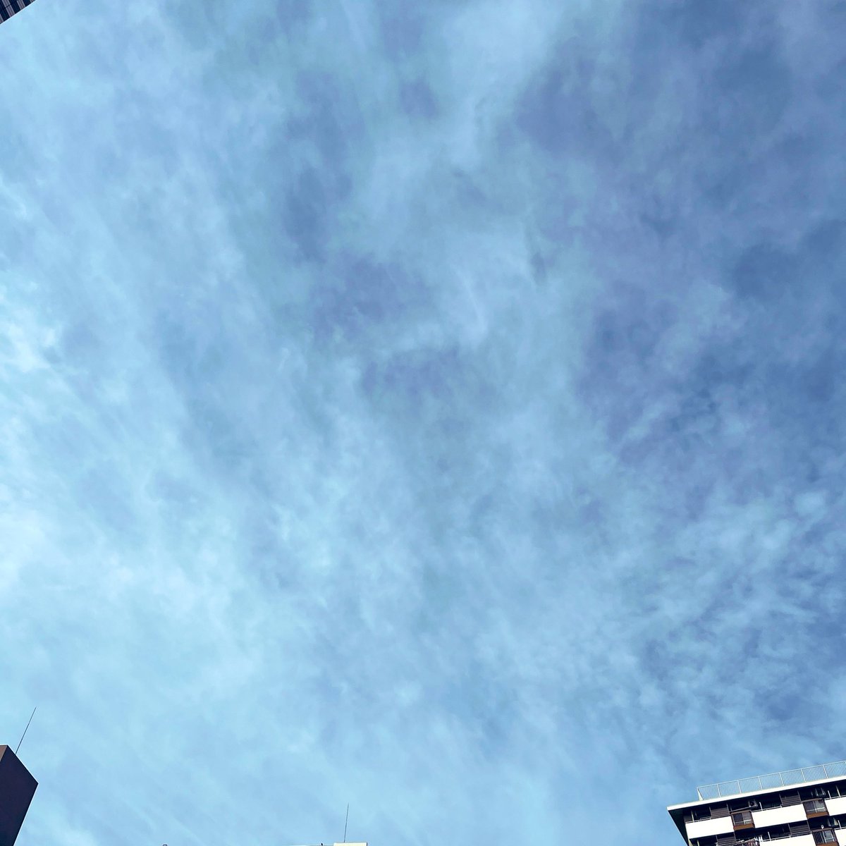 スダ（腕）小原涼宣伝部👉👈☀️ tweet media