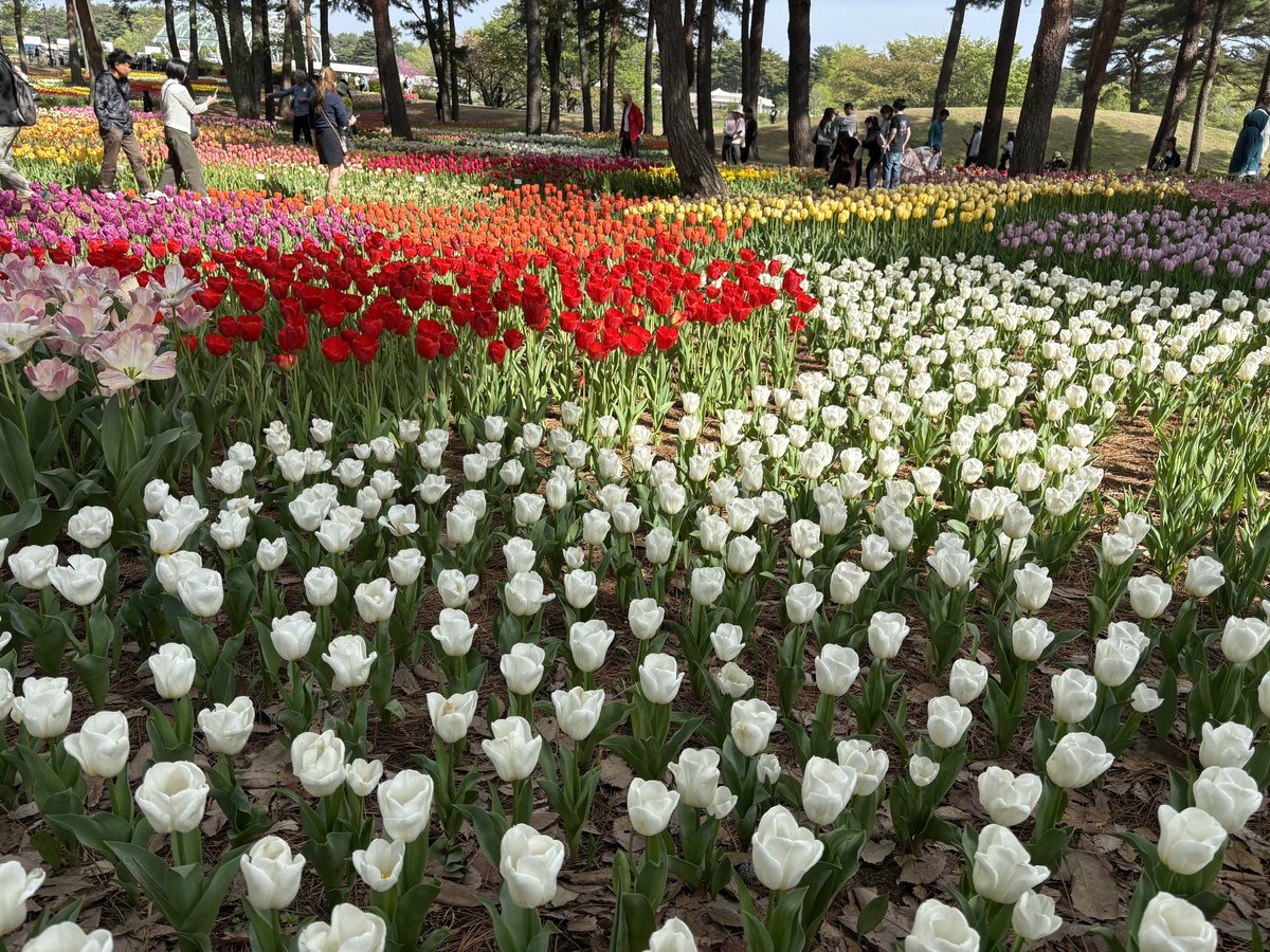 じょんたろー tweet media