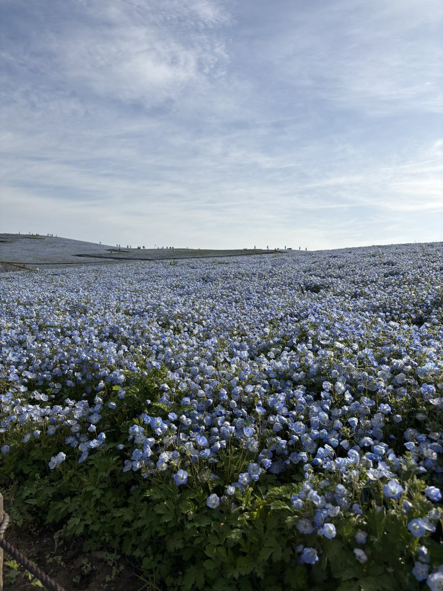 じょんたろー tweet media