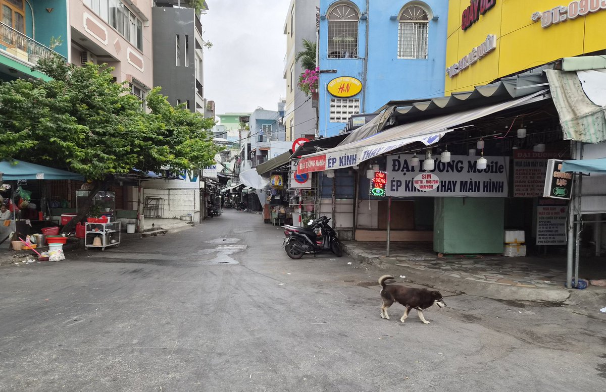 fighting2026 tweet media