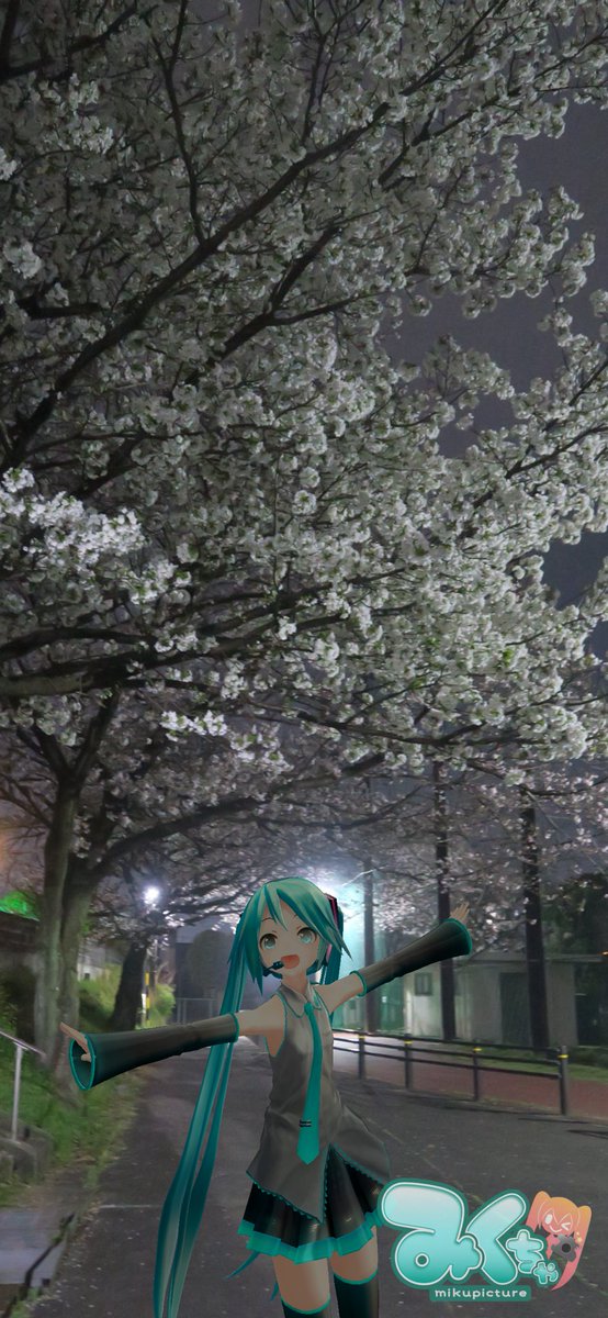 #これを見た人は２０２６年に撮った桜の写真を載せる 
#Mikuture