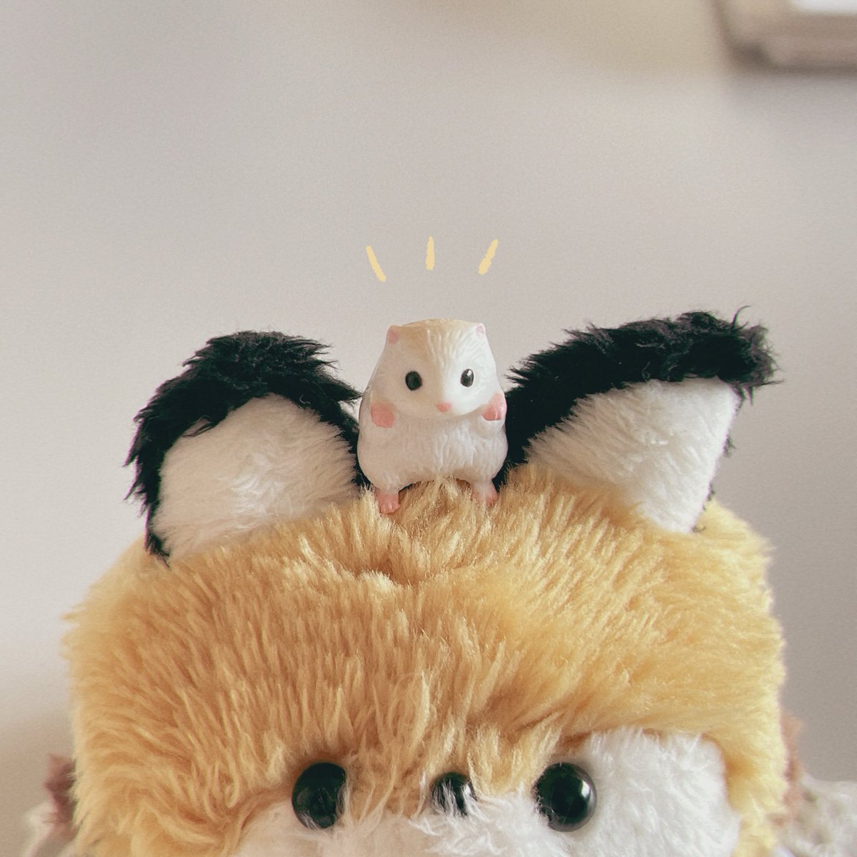 よんぬ. tweet media