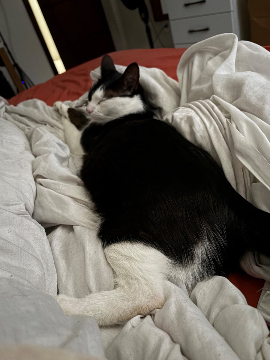 behr.dev tweet media