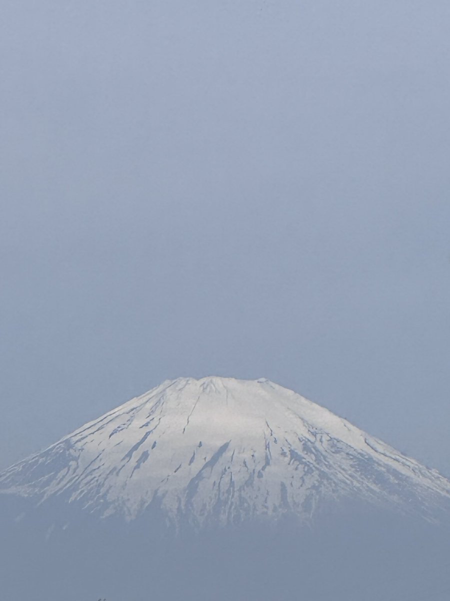 まーくん はpositiveに生きたい tweet media