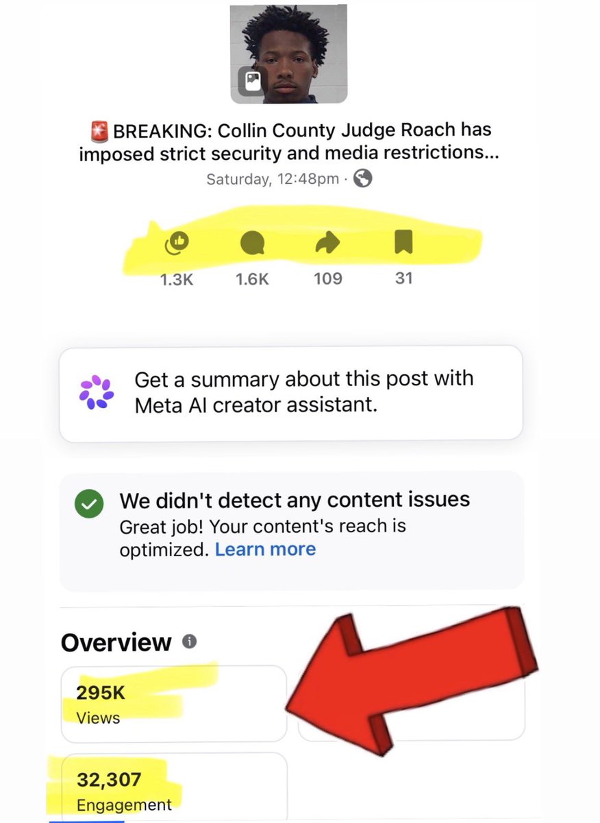 Sarah Fields tweet media