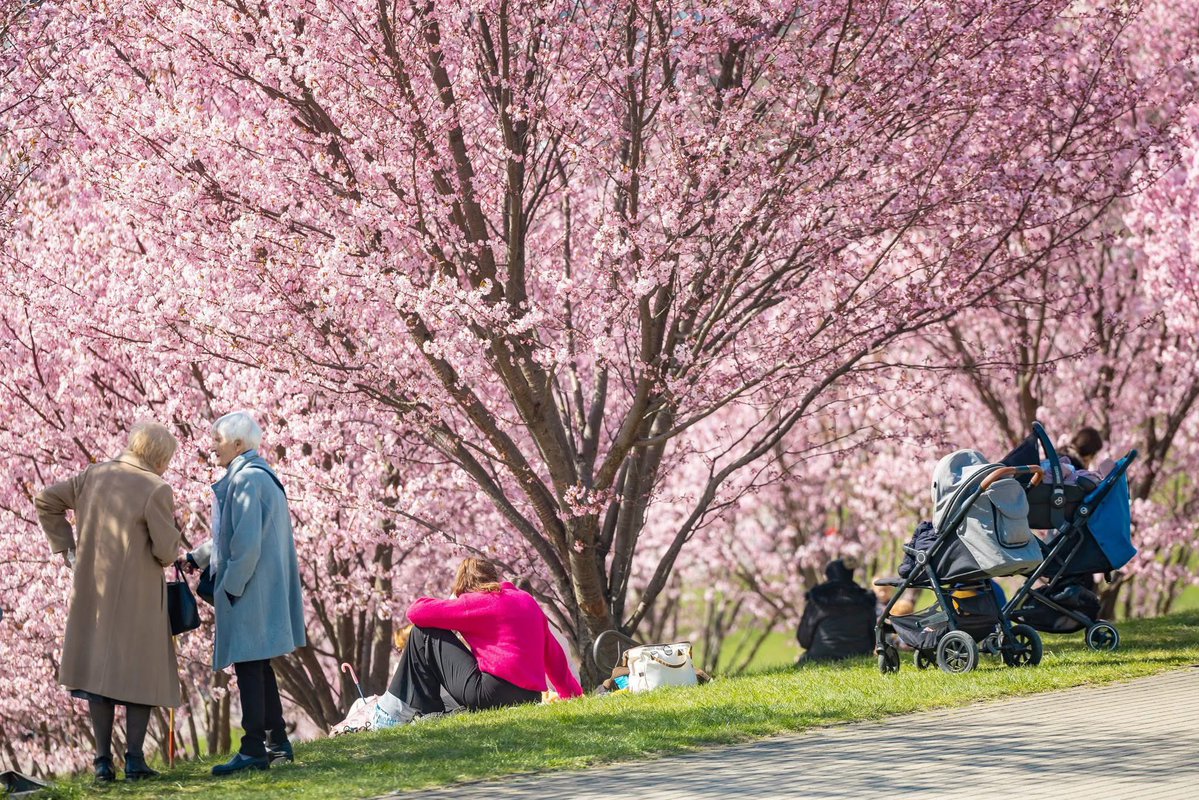 駐日リトアニア🇱🇹大使Aurelijus Zykas オーレリウス・ジーカス tweet media