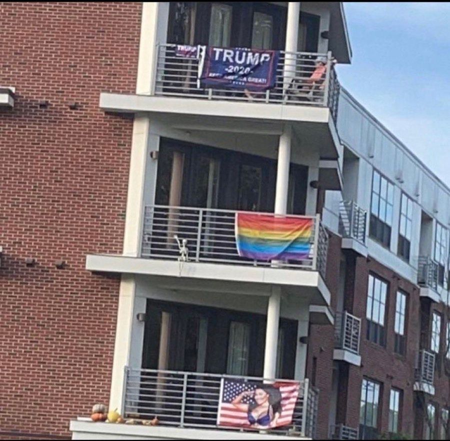 dinosaur tweet media