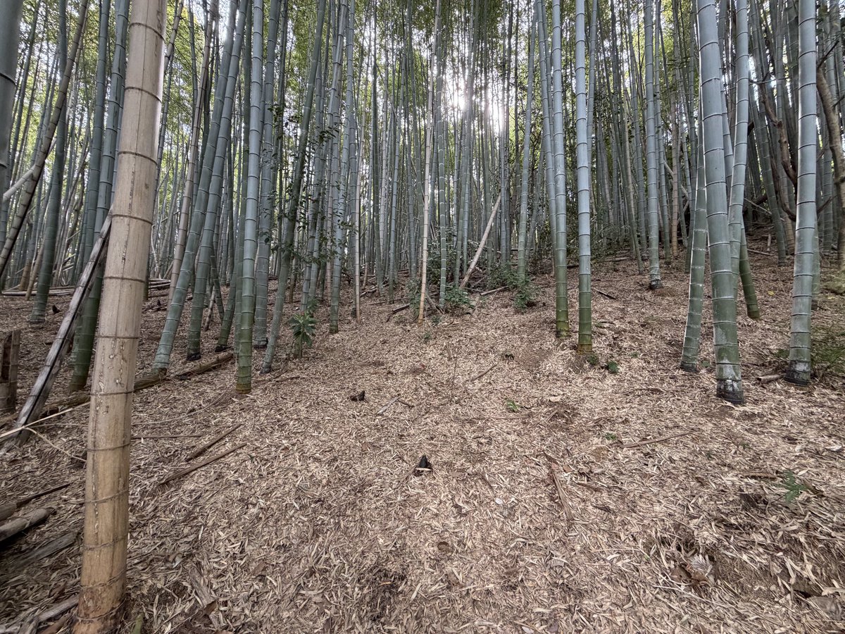 DJよっしー tweet media