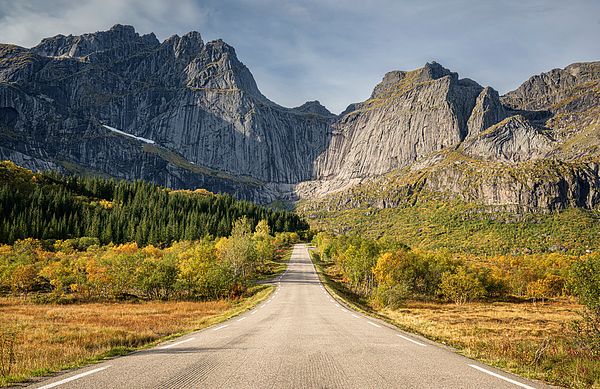 joancarroll's tweet image. Road to the Mountains Lofoten Norway! buff.ly/4dySYuN  #mountains #lofoten #autumn #colorful #straightroad #straightroads #travel #norway #landscape #landscapephotography #giftideas @joancarroll