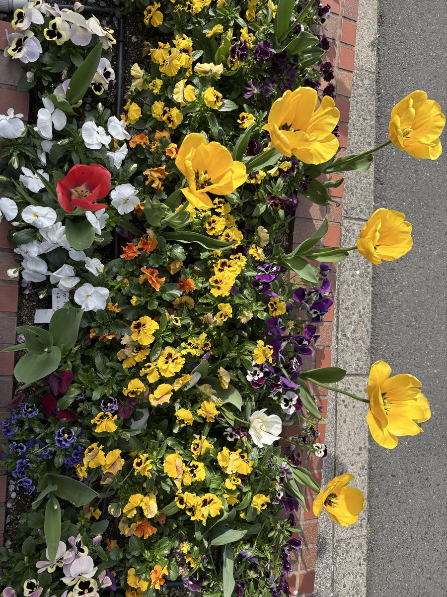 ビリー tweet media