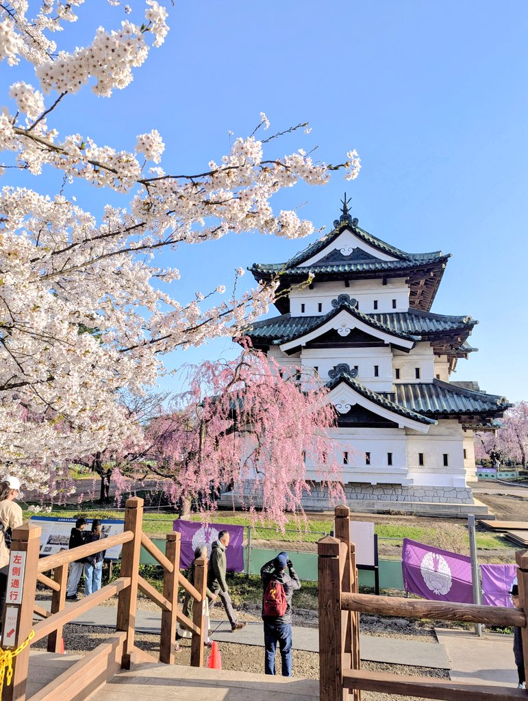 しまざき tweet media